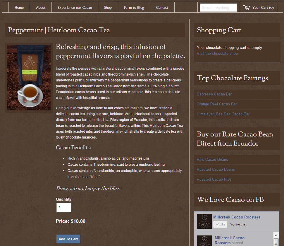 example of client website